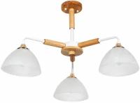 Потолочная люстра Arte Lamp MATTHEW A5032PL-3BR