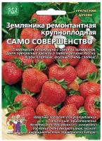 Семена Земляники ремонтантной крупноплодной Само Совершенство (10 семян)