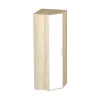 Шкаф для гостиной BTS Сенди ШК-01, (ШхГхВ): 75.1х75.1х217.6 см, дуб сонома/белый