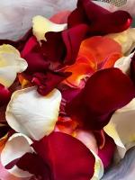 Лепестки роз на свадьбу 12 литров
