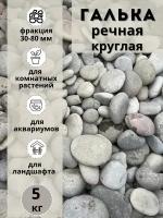 Галька речная круглая 30-80 мм (5кг) для сада и огорода и ландшафтного дизайна