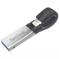 SanDisk iXpand 64Gb (серебристый)