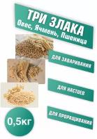 Три Злака (Овес, Ячмень, Пшеница) для заваривания, отваров и настоя, для проращивания. Микрозелень для проращивания