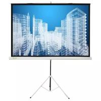 Рулонный матовый белый экран cactus Triscreen CS-PST-104x186, 87", черный