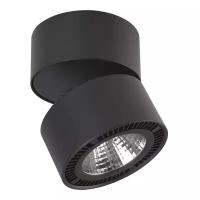 Светильник на штанге Lightstar Forte Muro LED 214837