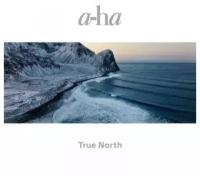 A-HA - True North (2LP), 2022, Виниловая пластинка