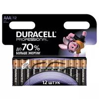 Батарейка Duracell Professional ААА/LR03, в упаковке: 12 шт