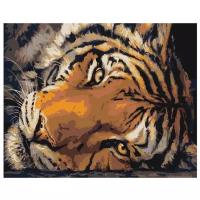 Голова тигра Раскраска картина по номерам на холсте