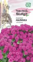 Семена Агератум Малинка 0,05 г