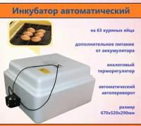 Инкубатор автоматический на 63 яйца, 220В/12В с аналоговым терморегулятором, поворот яиц. Материал корпуса пенопласт. Питание от сети и аккумулятора