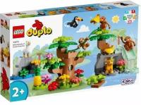 Конструктор LEGO DUPLO Дикие животные Южной Америки 10973-L