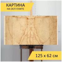 Картина на ОСП "Леонардо да винчи, витрувианский человек, uomo vitruviano", 125 x 62 см