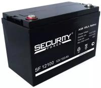 Аккумуляторная батарея Delta SF 12100 Secuirity Force