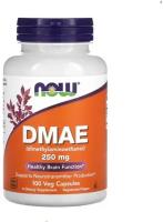 NOW DMAE 250mg 100 Veg capsules