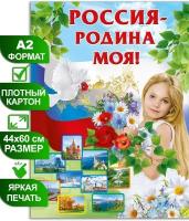 Обучающий плакат А2 с государственной символикой "Россия - Родина моя!", 44х60 см, картон, 1 шт