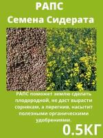 Рапс семена сидераты трава газонные 0,5 кг