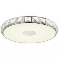 Светильник светодиодный ST Luce SL821.122.01, LED, 24 Вт