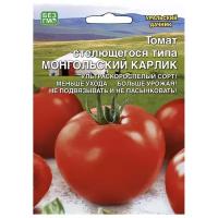 Семена Уральский дачник Томат Монгольский карлик стелющегося типа, 20 шт