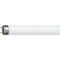 Лампа люминесцентная Philips MASTER TL-D Super 1SL/25 6500К, G13, T8