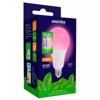 Светодиодная лампа фито Smartbuy-A80-17W/E27