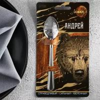 Ложка чайная именная на открытке "Андрей", 3 х 14 см