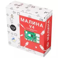 Конструктор амперка AMP-S057 Малина v4 (2 ГБ)