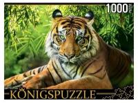Пазлы 1000 Konigspuzzle "Благородный тигр
