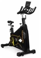 Спинбайк VF-GymRider 225 Black