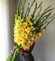 Букет Гладиолусы желтые, красивый букет цветов, шикарный, цветы премиум