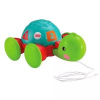 Каталка-игрушка Fisher-Price Черепашка (Y8652)