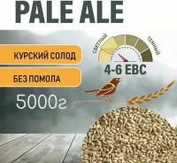 Солод ячменный пивоваренный Pale Ale Курский 5 кг