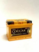 Аккумулятор автомобильный COUGAR PRO 60 низкий