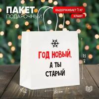 Пакет подарочный «Год новый, а ты старый», 22 × 22 × 11 см 4865445