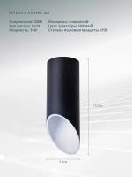 Потолочный светильник Arte Lamp PILON A1615PL-1BK