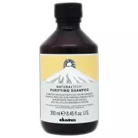 Davines Naturaltech Purifying Shampoo Очищающий шампунь против перхоти, 250мл