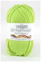 Пряжа 220 Superwash Merino 100% мериносовая шерсть, 200 м./100 гр.,col.013