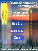 Умный поплавок для рыбалки светящийся с индикатором поклевки, поплавок для ночной рыбалки 41см 2гр 2шт