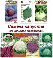 Набор семян, семена капусты белокочанной, цветной, кольраби, брокколи и др