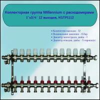 Коллекторная группа Millennium с расходомерами 1'x3/4' 12 выходов, KGTP1112