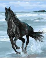 Картина по номерам Черная лошадь 40х50 см