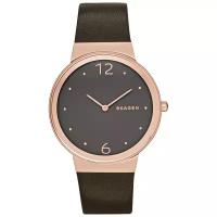 Наручные часы SKAGEN SKW2368