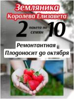 Земляника (клубника) Королева Елизавета 2 пакета по 10шт семян