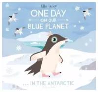 One Day On Our Blue Planet. In The Antarctic