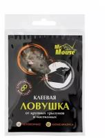 Mr.Mouse "черная "клеевая ловушка от насекомых и грызунов