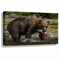 Картина 60x40 см на холсте Медведь гризли с пойманным лососем