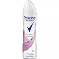 Rexona Антиперспирант Motionsense Абсолютная уверенность, спрей, флакон, 150 мл, 140 г, 1 шт