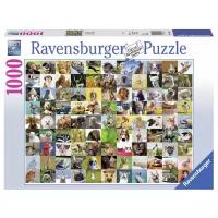 Пазл Ravensburger 99 забавных животных (19642)