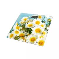 Весы Home Element HE-SC906 Camomile Field