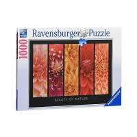 Пазл Ravensburger Красота природы (19046)