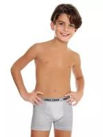 Трусы детские Enrico Coveri Kids боксеры для мальчиков и подростков хлопковые размер 11-12 (128-134), серый